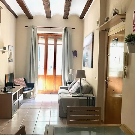Cestas Apartment. Wifi Apartment Valencia